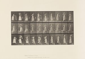 Prato 495. Fases Diversas da Casa de Banho de Eadweard Muybridge