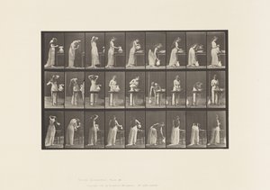 Placa 496.Fases Diversas do Banheiro, 1885 de Eadweard Muybridge