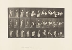 Placa 497.Fases Diversas do Banheiro, 1885 de Eadweard Muybridge