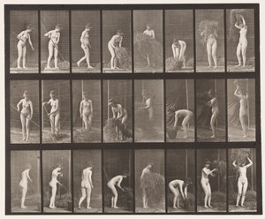 Placa 499. Ajuntando e Embalando o Feno, 1872-1885 de Eadweard Muybridge