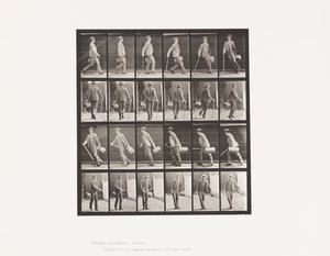 Placa 49. Andar e dar a volta rapidamente de Eadweard Muybridge