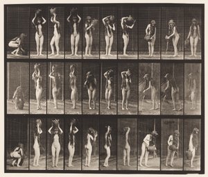 Placa 500. Vários Movimentos com Jarro de Água de Eadweard Muybridge