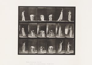 Prato 503. Miscelânea - Inclinação, etc de Eadweard Muybridge