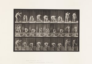 Placa 505. Assentamento de tijolos de Eadweard Muybridge