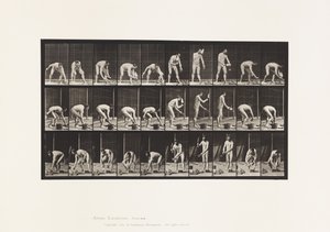 Placa 506. Assentamento de tijolos de Eadweard Muybridge