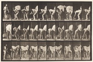 Placa 508. Calçando um Cavalo de Eadweard Muybridge