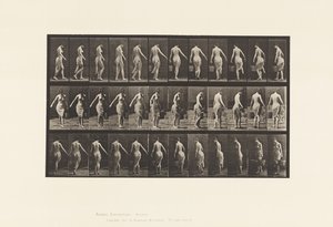 Prato 50. Andando, carregando um balde. de Eadweard Muybridge