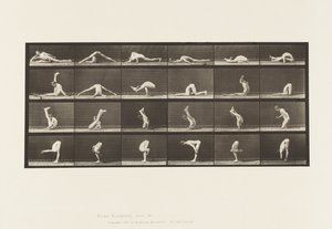 Placa 510. Contorções no Chão, 1872-1885 de Eadweard Muybridge