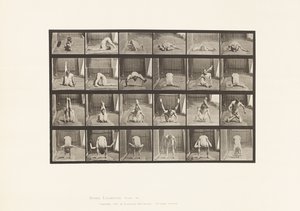 Placa 511. Contorções no solo de Eadweard Muybridge