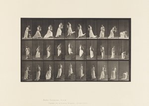 Placa 515. Escadas ascendentes e descendentes, etc., 1885 de Eadweard Muybridge