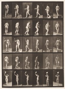 Placa 525. A, Descending Step; B, Ascending Step; 1872-1885 de Eadweard Muybridge