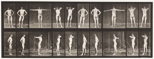Placa 529. Várias Poses de Eadweard Muybridge