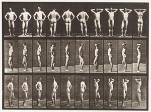 Placa 530. Várias Poses de Eadweard Muybridge