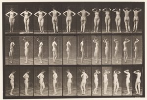 Placa 531. Várias Poses de Eadweard Muybridge
