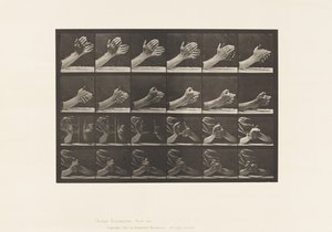 Placa 533. Movimento da Mão; Clasping Hands, 1885 de Eadweard Muybridge