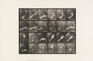 Placa 535. Movimento da Mão; Tempo Batendo, 1885