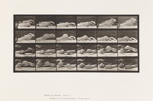 Prato 536. Movimento da Mão; Lápis de Troca de Mãos de Eadweard Muybridge
