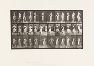 Prato 53. Caminhando, Espalhando Flores e Girando Ação de Eadweard Muybridge