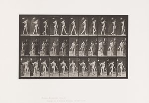 Prato 541. Esclerose Múltipla Cerebro-espinhal (Coreica); Caminhada de Eadweard Muybridge