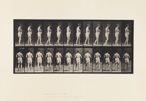 Prato 542. Esclerose Múltipla Cerebro-espinhal - Andar de Eadweard Muybridge