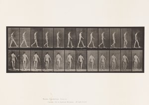 Placa 546. Ataxia do Locomotor; Andando, 1885 de Eadweard Muybridge
