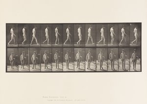 Placa 551.Epilepsia; Andando, 1885 de Eadweard Muybridge