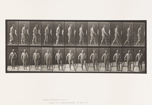 Placa 552. Hipliplia; Andando com cana, 1885 de Eadweard Muybridge
