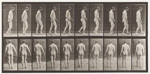 Placa 553.Após o Traumatismo da Cabeça; Andando, 1885 de Eadweard Muybridge