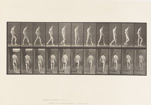 Placa 554. Ataxia do Locomotor; Andando, 1885 de Eadweard Muybridge