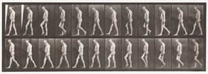 Placa 555. Atrofia Muscular das Pernas; Adulto, A, B, Andando, 1885 de Eadweard Muybridge