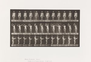 Placa 557.Coreia Local; A, B, C, em pé, 1885 de Eadweard Muybridge