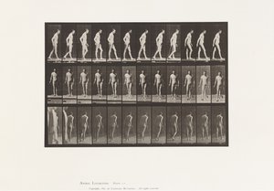 Prato 559. Esclerose disseminada; Caminhando com Cana de Eadweard Muybridge
