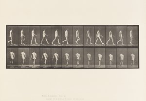 Placa 560. Ataxia do Locomotor; Andando, 1885 de Eadweard Muybridge