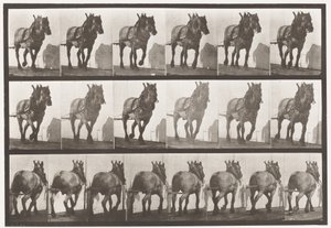 Placa 566.Hauling; Cinzento Escuro Cavalo Belga Dusel, 1885 de Eadweard Muybridge
