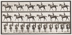 Placa 580. Andar; Selim; Baía de puro-sangue Mare Annie G., 1885 de Eadweard Muybridge