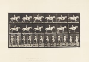 Prato 582. Andar; Sela; Cavaleiro, 43, Nu; Smith Cavalo Cinzento Claro de Eadweard Muybridge