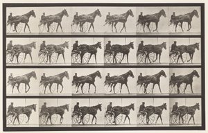 Placa 587. Andar; Sulky; Sorrel Mare Nellie Rose, 1885 de Eadweard Muybridge