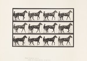 Placa 588. Andar; Sulky; Cavalo de Baía Reuben, 1885 de Eadweard Muybridge