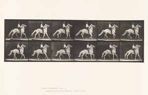 Placa 589.Ambling de Eadweard Muybridge