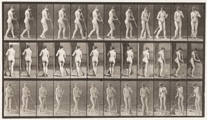 Placa 58. Caminhando, Virando-se, Varrendo o Chão de Eadweard Muybridge