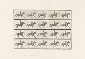Placa 591.Rocking de Eadweard Muybridge