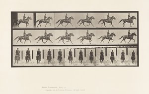 Prato 592. Rocking (Embalagem): Sela; Cavalo Castanho Pronto de Eadweard Muybridge