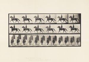 Prato 593. Rocking (Embalagem): Sela; Cavalo Castanho Pronto de Eadweard Muybridge