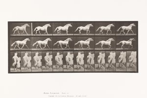 Prato 596. Trotador; Livre; Águia Cavalo Cinzento Claro de Eadweard Muybridge