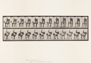 Placa 600. Trotando; Bareback; Dusel Cinzento Escuro de Eadweard Muybridge