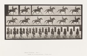 Placa 601. Trotando; Sela; Beleza Marrom-Marrom de Eadweard Muybridge