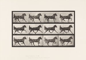 Placa 606. Trotting; Sulky; Bay Horse, Reuben de Eadweard Muybridge