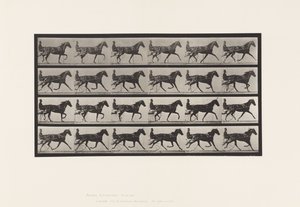 Placa 608. Trotando; Sulky; Sorrel Mare, Flode Holden de Eadweard Muybridge