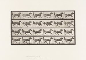 Placa 609. Trotting; Sulky; Bay Mare, Lizzie M. de Eadweard Muybridge