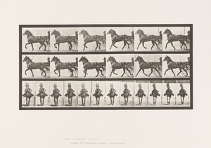 Placa 612. Trotador; Sulky; Bay Horse, Dereumd de Eadweard Muybridge
